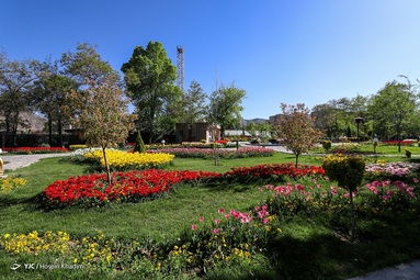 جشنواره گل های لاله - اراک