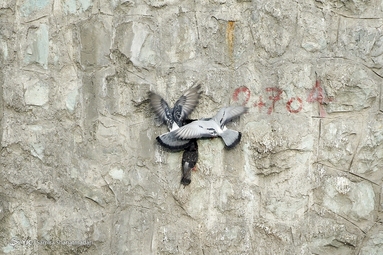 در حاشیه رودخانه زرگنده