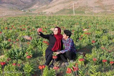 دشت لاله های واژگون - منطقه حفاظت شده کوهرنگ