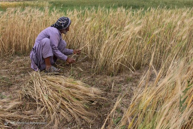 کارگران را باید قشر پرتلاش کشور در عرصه های مختلف اقتصادی و موتور محرک تولید نامید.
