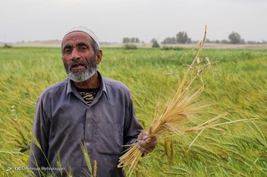 کارگران را باید قشر پرتلاش کشور در عرصه های مختلف اقتصادی و موتور محرک تولید نامید.