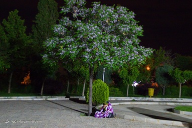 احیای شب نوزدهم رمضان - امامزاده طاهر کرج
