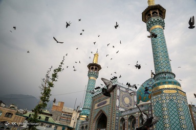 عزاداری سالروز شهادت امام علی (ع) - امامزاده صالح (ع) تجریش