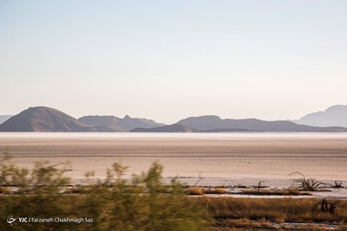 به دلیل خشکسالی شدید در بختگان فلامینگوهای بالغ ناچار هستند هر روز مسافت 200 کیلومتر را پرواز کنند تا بتوانند از آرتیمیان موجود در آب دریاچه مهارلو را برای تغذیه جوجه فلامینگوها بیاورند
