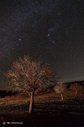 عکاسی از آسمان شب و کهکشان راه شیری