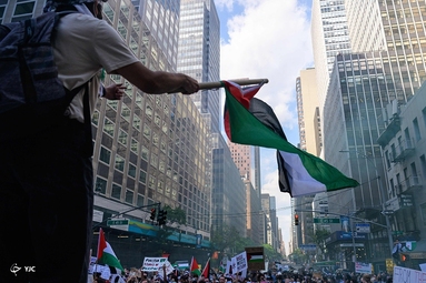 تظاهرات حمایت از مردم مظلوم فلسطین -  آمریکا