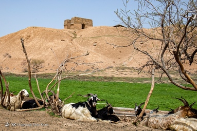 آتشکده «بهرام ری» در جاده ورامین و در نزدیکی روستای قلعه نو بر فراز تپه‌ای موسوم به تپه میل قرار دارد.