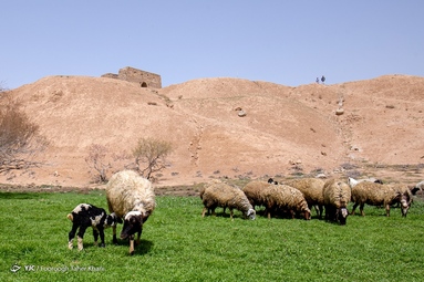 آتشکده «بهرام ری» در جاده ورامین و در نزدیکی روستای قلعه نو بر فراز تپه‌ای موسوم به تپه میل قرار دارد.