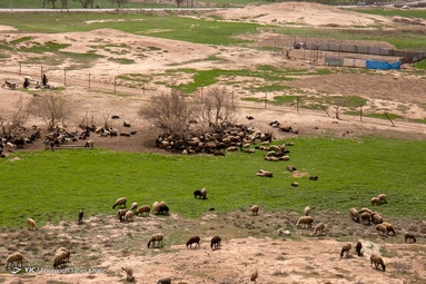 آتشکده «بهرام ری» در جاده ورامین و در نزدیکی روستای قلعه نو بر فراز تپه‌ای موسوم به تپه میل قرار دارد.