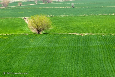 آتشکده «بهرام ری» در جاده ورامین و در نزدیکی روستای قلعه نو بر فراز تپه‌ای موسوم به تپه میل قرار دارد.
