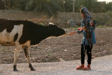 خرمهشر 39 سال پس از آزادسازی از چنگال دشمن بعثی