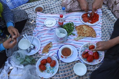 برداشت هلو در باغات گلستان