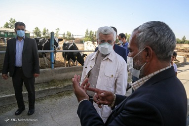 سعید جلیلی در دیدار با جمعی از برگزیدگان روستایی در عشق آباد شهرری