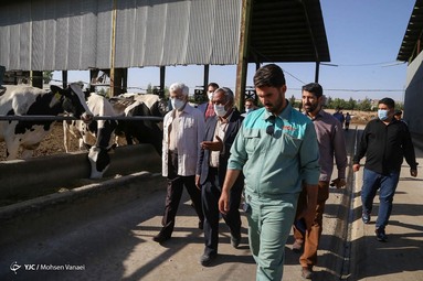 سعید جلیلی در دیدار با جمعی از برگزیدگان روستایی در عشق آباد شهرری