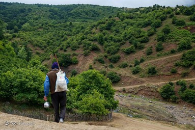 داماش از روستا‌ها و مناطق ییلاقی و بسیار زیبا و دیدنی شهرستان رودبار در استان گیلان است