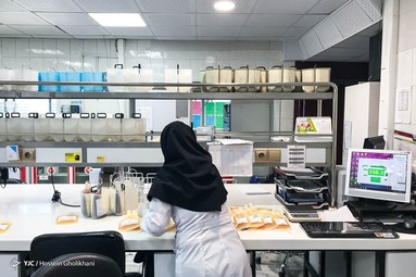 اهدا خون هموطنان نیکوکار در آستانه روز جهانی اهدای خون - قزوین