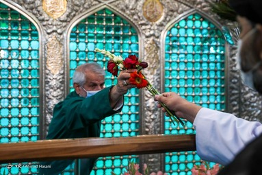 در آستانه میلاد هشتمین نور تابناک ولایت حضرت امام رضا (ع) ضریح حرم مطهر رضوی به گل آراسته شد