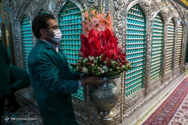 در آستانه میلاد هشتمین نور تابناک ولایت حضرت امام رضا (ع) ضریح حرم مطهر رضوی به گل آراسته شد