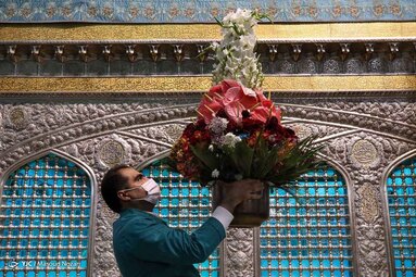 در آستانه میلاد هشتمین نور تابناک ولایت حضرت امام رضا (ع) ضریح حرم مطهر رضوی به گل آراسته شد