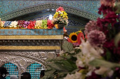 در آستانه میلاد هشتمین نور تابناک ولایت حضرت امام رضا (ع) ضریح حرم مطهر رضوی به گل آراسته شد