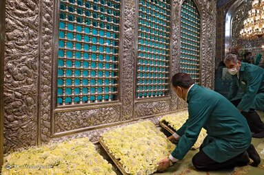 در آستانه میلاد هشتمین نور تابناک ولایت حضرت امام رضا (ع) ضریح حرم مطهر رضوی به گل آراسته شد