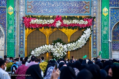 حال و هوای حرم مطهر رضوی در آستانه میلاد حضرت رضا(ع)