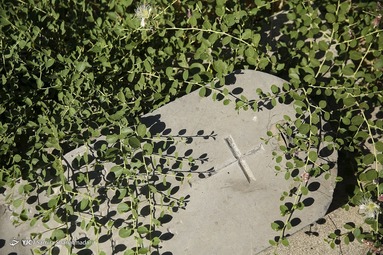 بهره برداری و بهسازی مجموعه آرامستان های دولاب