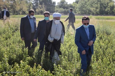 رونمایی از دستاوردهای فناورانه و دانش بنیان آستان قدس رضوی