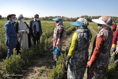 رونمایی از دستاوردهای فناورانه و دانش بنیان آستان قدس رضوی