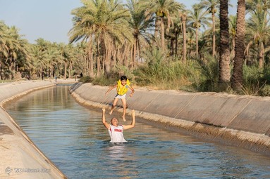 کودکان و جوانان برای تفریح و رهایی از گرمای هوا در کانالهای خنک آب که ازسد رییسعلی دلواری برای آبیاری نخلها سرازیر می شود اوقات خوشی را می گذرانند
