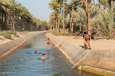 کودکان و جوانان برای تفریح و رهایی از گرمای هوا در کانالهای خنک آب که ازسد رییسعلی دلواری برای آبیاری نخلها سرازیر می شود اوقات خوشی را می گذرانند