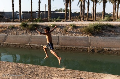 کودکان و جوانان برای تفریح و رهایی از گرمای هوا در کانالهای خنک آب که ازسد رییسعلی دلواری برای آبیاری نخلها سرازیر می شود اوقات خوشی را می گذرانند