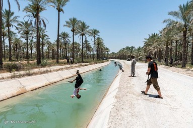کودکان و جوانان برای تفریح و رهایی از گرمای هوا در کانالهای خنک آب که ازسد رییسعلی دلواری برای آبیاری نخلها سرازیر می شود اوقات خوشی را می گذرانند