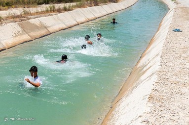 کودکان و جوانان برای تفریح و رهایی از گرمای هوا در کانالهای خنک آب که ازسد رییسعلی دلواری برای آبیاری نخلها سرازیر می شود اوقات خوشی را می گذرانند