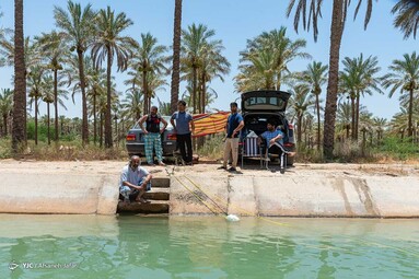 کودکان و جوانان برای تفریح و رهایی از گرمای هوا در کانالهای خنک آب که ازسد رییسعلی دلواری برای آبیاری نخلها سرازیر می شود اوقات خوشی را می گذرانند