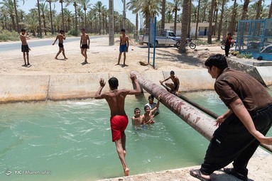 کودکان و جوانان برای تفریح و رهایی از گرمای هوا در کانالهای خنک آب که ازسد رییسعلی دلواری برای آبیاری نخلها سرازیر می شود اوقات خوشی را می گذرانند