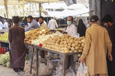 وضعیت هشدار آمیز شیوع کرونا - زاهدان