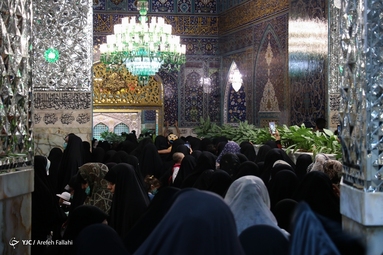 ضریح منور حرم امام رئوف، پناه و مقصد دلسوختگان و عاشقانی است که برای عرض ارادت و زیارت حضرتش از راه دور و نزدیک با شوق و اشک می‌آیند