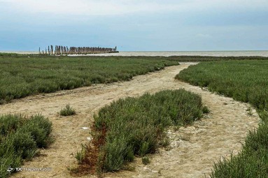 «خلیج گرگان» در جدال با خشکسالی