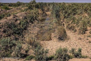 خشکسالی در خوزستان