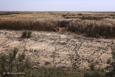 خشکسالی در خوزستان