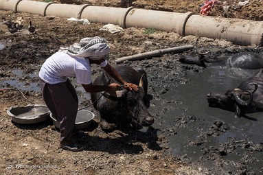خشکسالی در خوزستان
