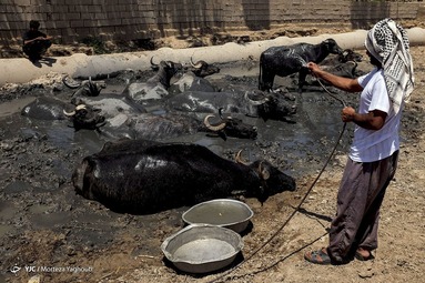 خشکسالی در خوزستان