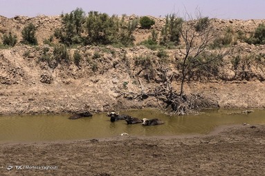 خشکسالی در خوزستان
