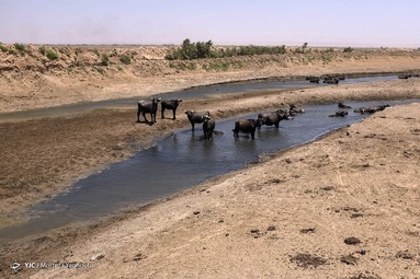 خشکسالی در خوزستان