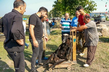 بازار فروش دام در آستانه عید قربان - رشت