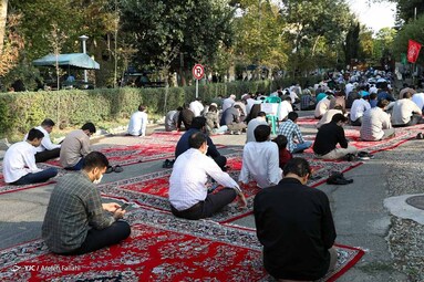 قرائت دعای پر فیض عرفه -  دانشگاه امام صادق (ع)