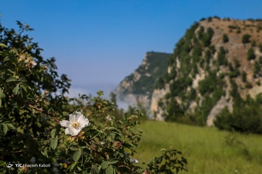زندگی در خنکای کوهستان