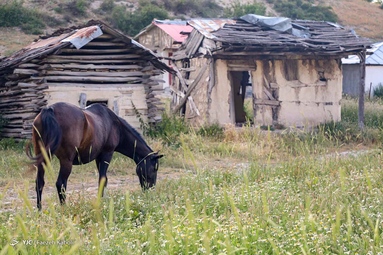 زندگی در خنکای کوهستان