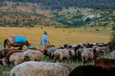 زندگی در خنکای کوهستان
